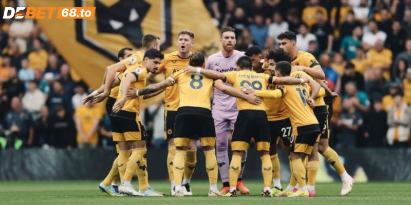 Giới thiệu về đội Wolves tiểu sử thành lập